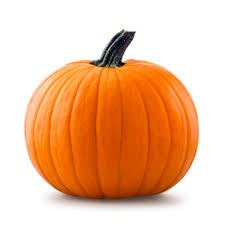 pumpkin6